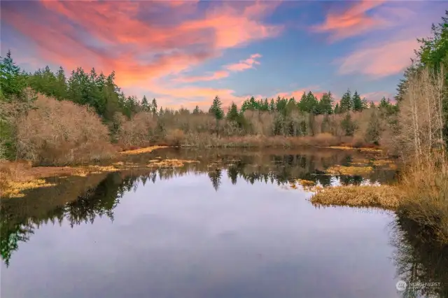 imagine all the wildlife this water brings?