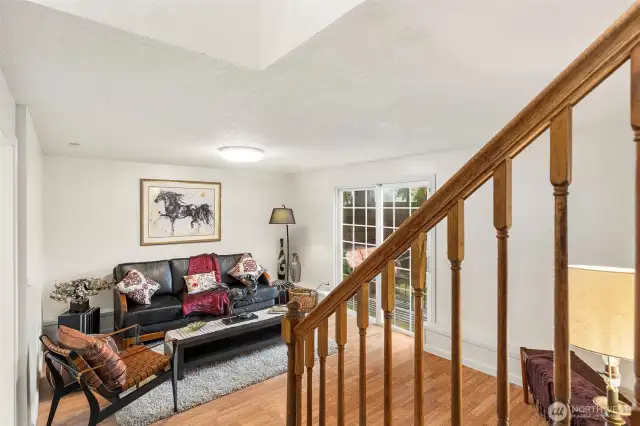 ~View from Main Level to Lower Level Family Room~