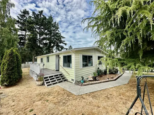 Fenced yard