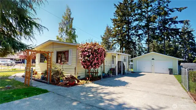 Driveway