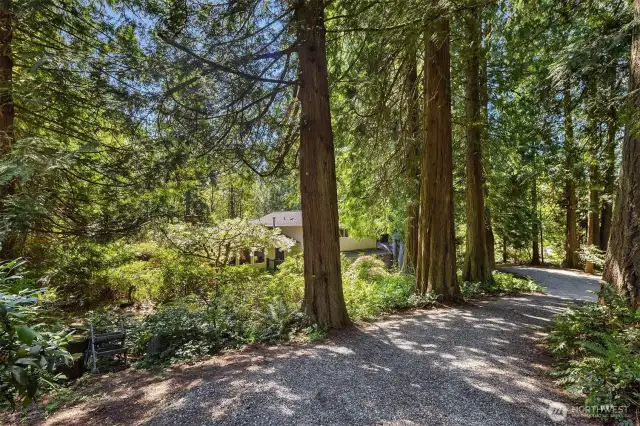 Circular driveway options on this unique shy acre setting