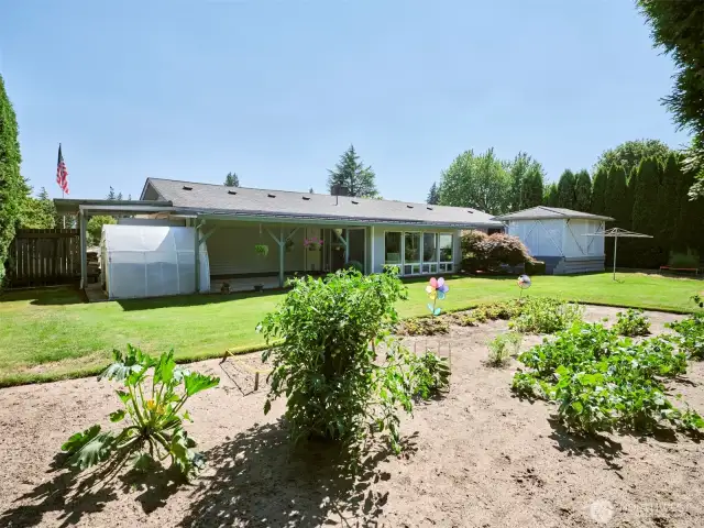 Backyard