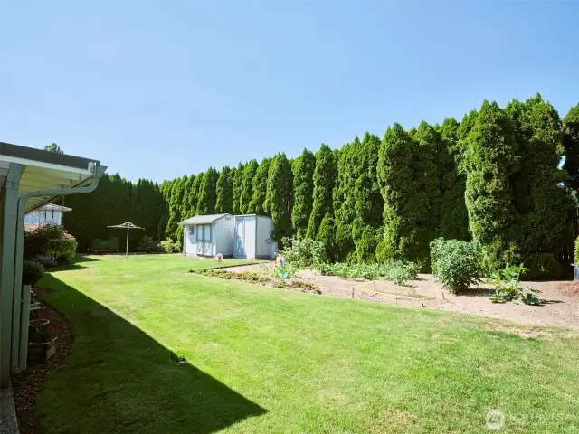 Private Backyard
