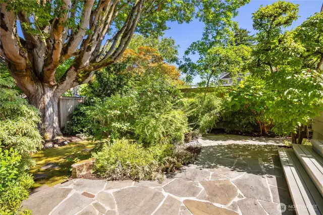 The perfect spot for a summer barbecue, morning coffee, or evenings under the stars.
