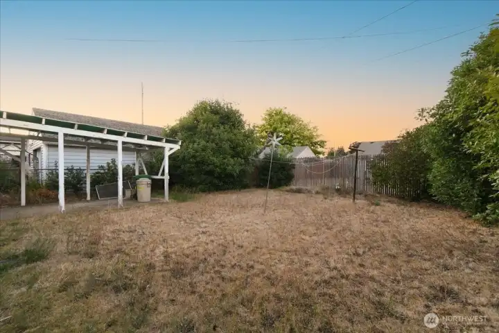 Backyard