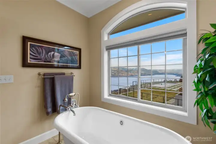 Look at the view from the free-standing tub!