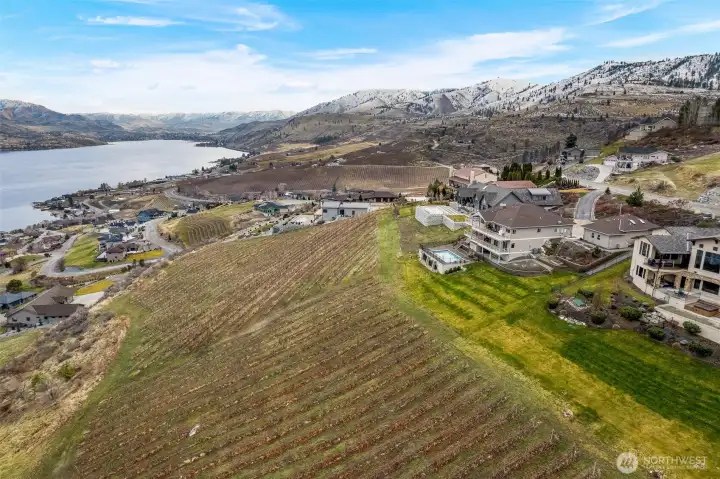 The 7.65 acre vineyard, protected as open space, on the view side of the home provides a beautifully quiet backdrop with varying seasonal colors.