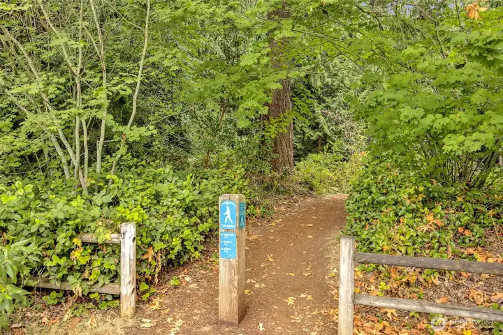 This home is also seconds to Ardmore Park where you will find two connected sections of forest habitat, traversed by easy hiking trails.