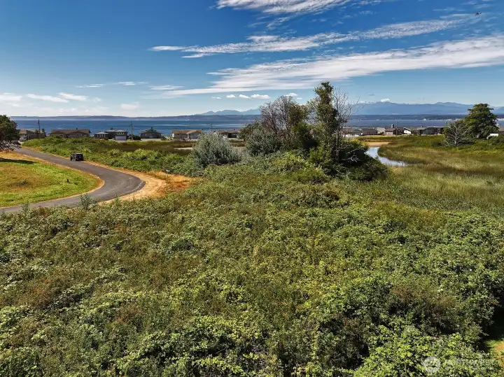 Recreational Bush Pt. Lot