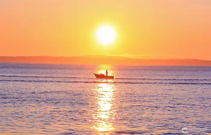 Wonderful Salmon Fishing