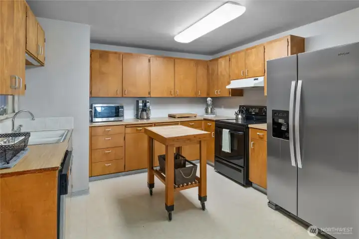 Plenty of cabinets in the kitchen.