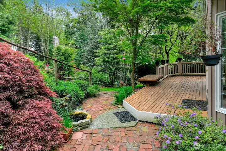 Park-like backyard with native plants, shrubs, trees, bulb garden and more