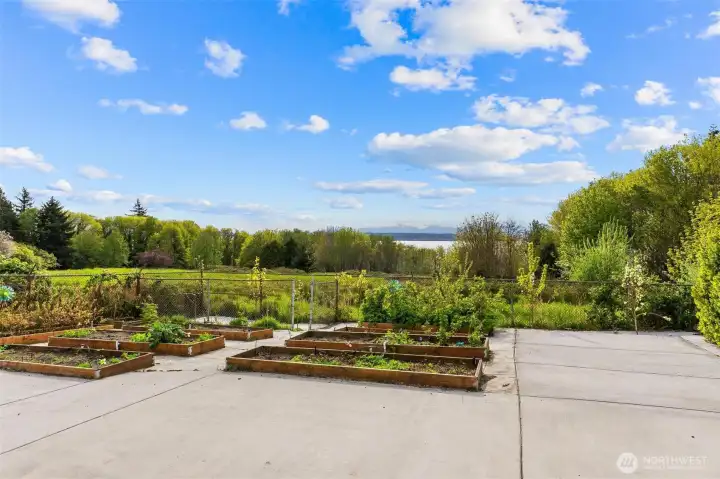 Abundant Vegetable Garden