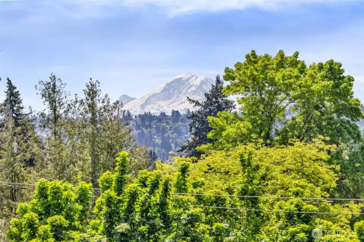 view of Rainier from Roof Top Deck view of Rainier from Roof Top Deck