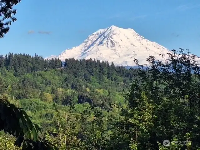Mt Rainier from your deck.