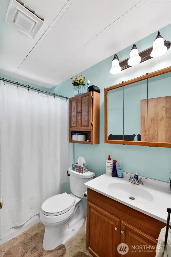 Main Bathroom w/new plumbing,vanity and toilet 2018.