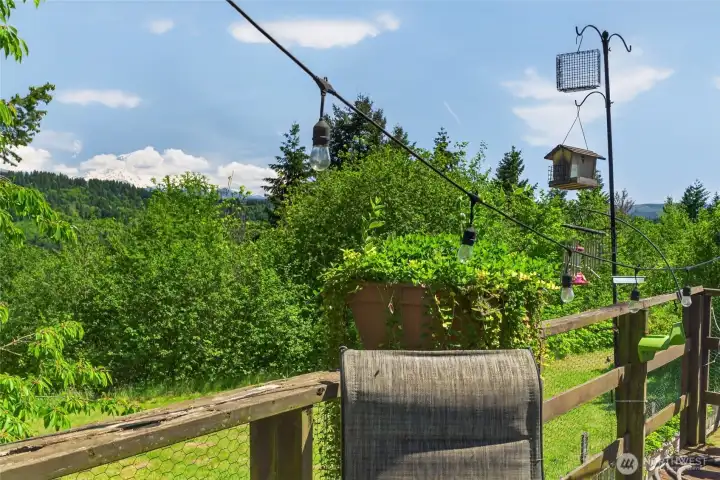 Mt Rainier from your deck/dining room
