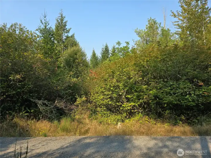 Looking at the property from Starflower Lane.