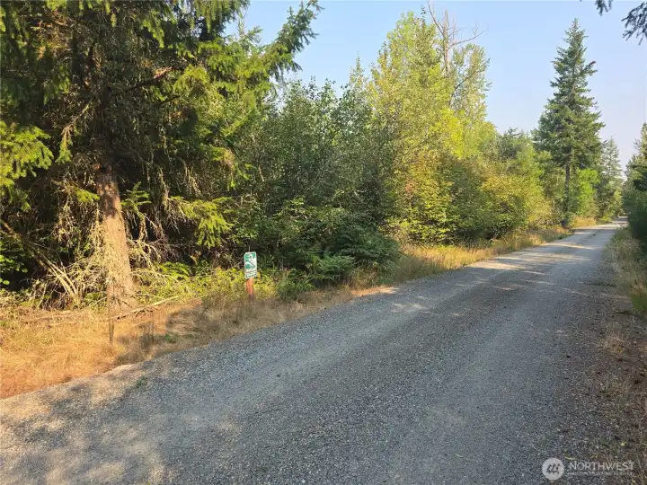Looking up Starflower Road.