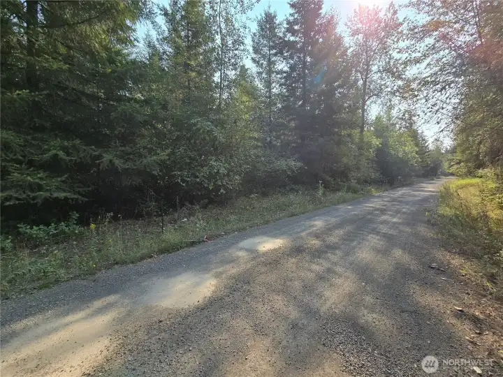 Looking up Thimbleberry Lane.