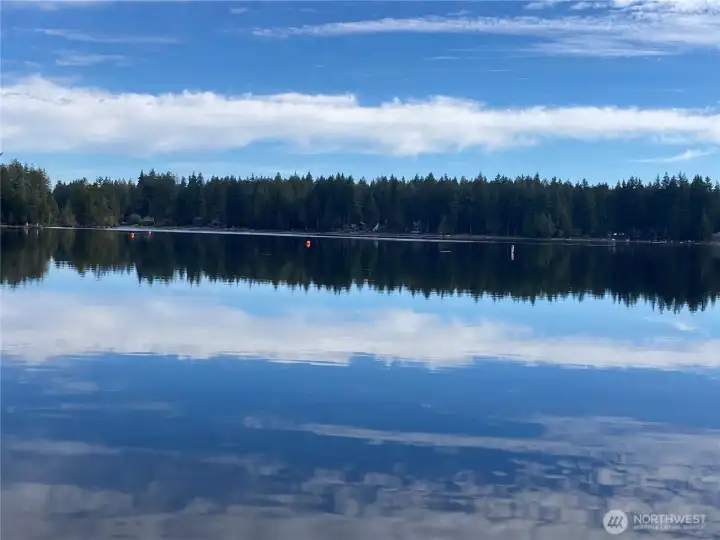 Best View Best View