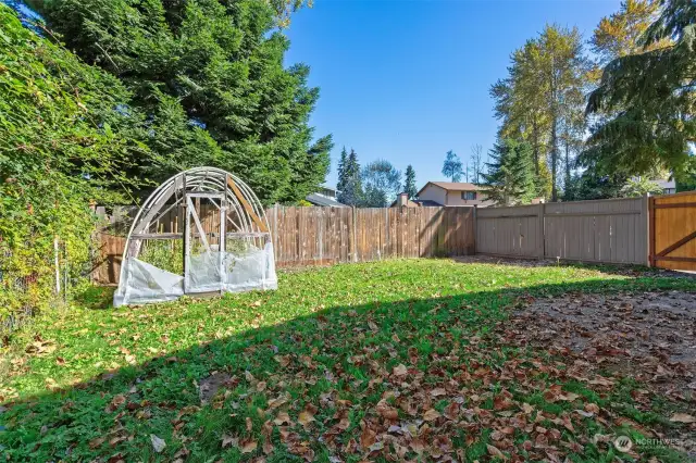 Back yard and garden space