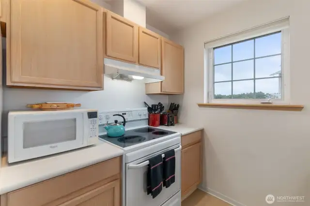 a very nice kitchen with view of the ocean.