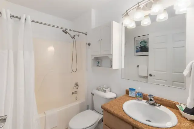 The full bathroom.