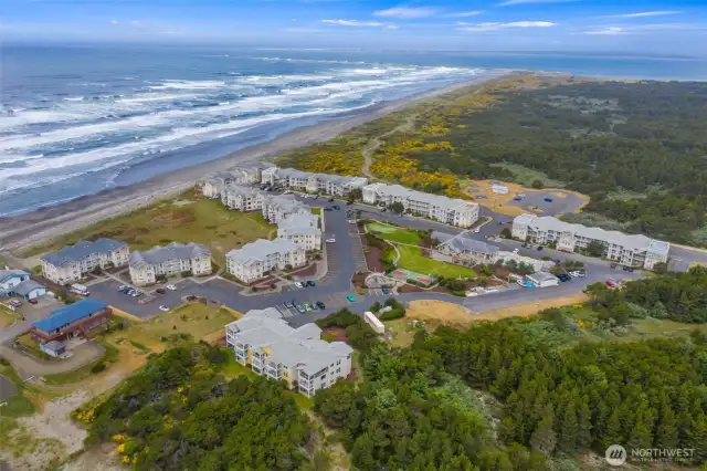 The "one of a kind" complex has --