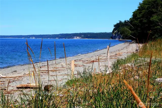 Lagoon Point Community Beach, the perfect place for beachcombing, fishing, and kayaking.