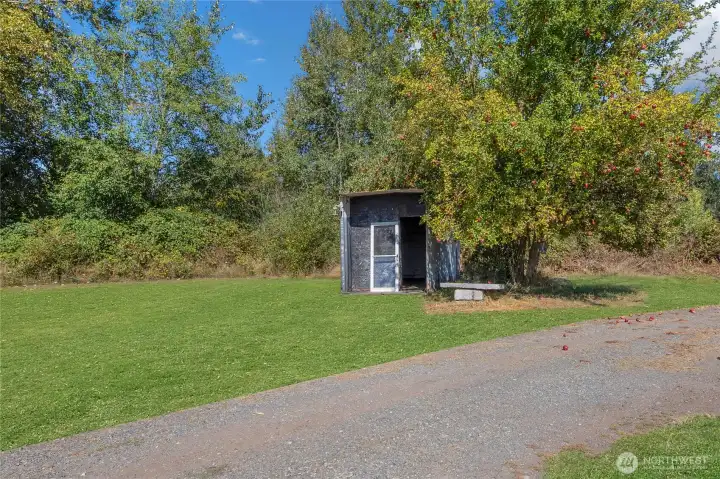 Driveway with storage shed and apple tree