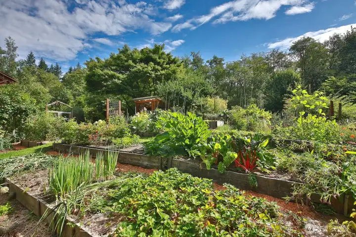 Plenty of sunshine and big sky! Get your hands in the soil and grow your own veggies.