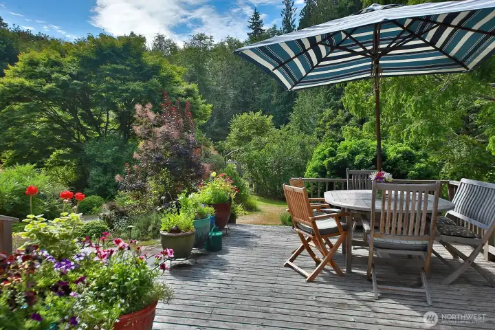 Sunny deck!