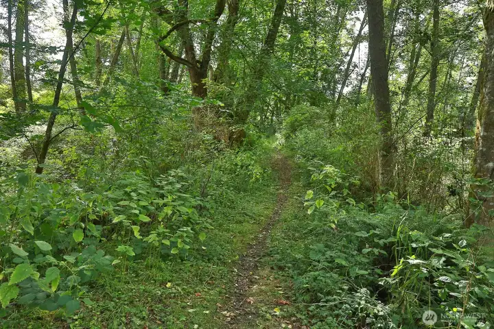 This is the trail that leads to The Whidbey Institute, Waldorf School and access to miles of public trails.