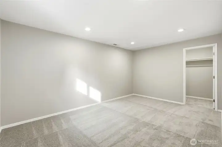 Private Lower Level Bedroom with Huge Walk In Closet
