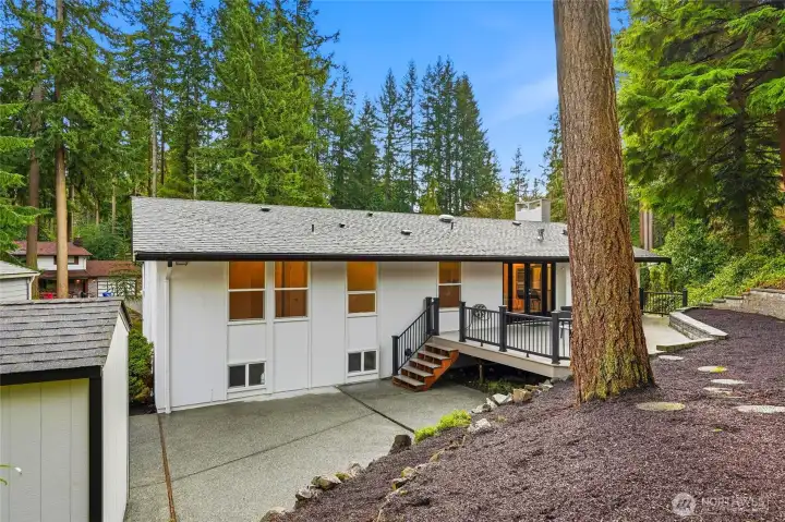 Private Wooded Backyard with Elevated Deck and Lower Patio Area