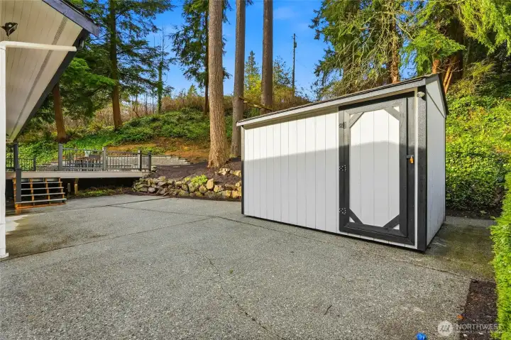 Backyard Storage Shed and Patio Area with Mature Evergreen Privacy