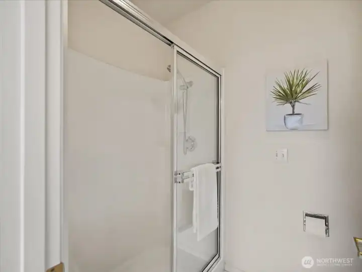 Primary suite bath showcases a walk-in shower for a modern, easy-care design.