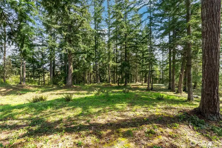 Lightly treed and mostly level, providing ample home design options