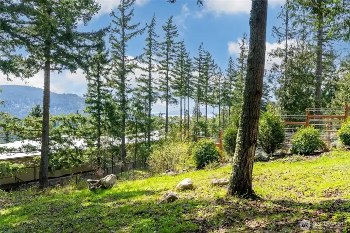 Bellingham bay views