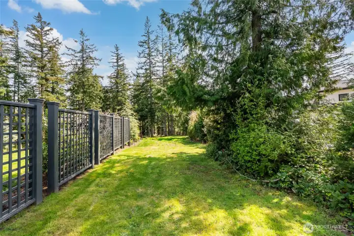 Future driveway location