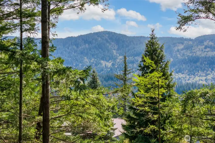 Depending on your home design, views of Lake Padden and Bellingham Bay are possible.