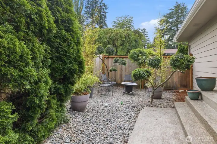 South facing yard