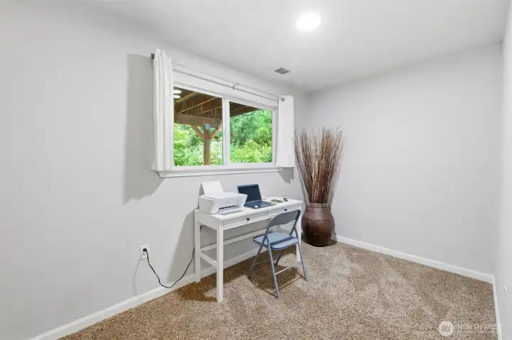 Bedroom 4 of 5 on the lower level. Owner uses it as their office.