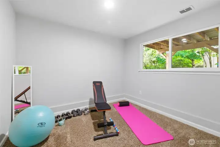 Bedroom 5 of 5 on the lower level. Owner uses it as a work out room.