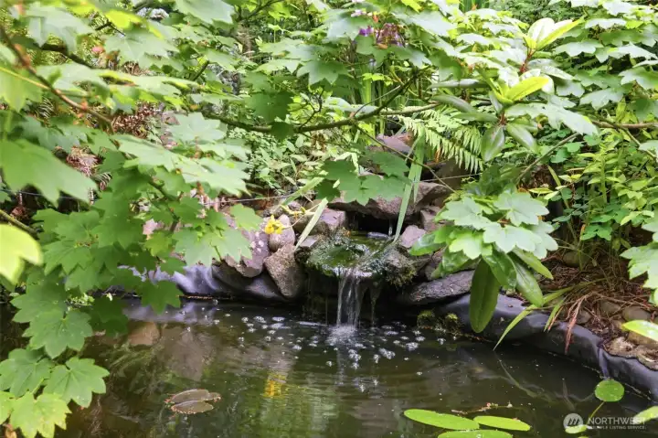 Koi pond for that added water feature to really give you that recovery retreat feel.