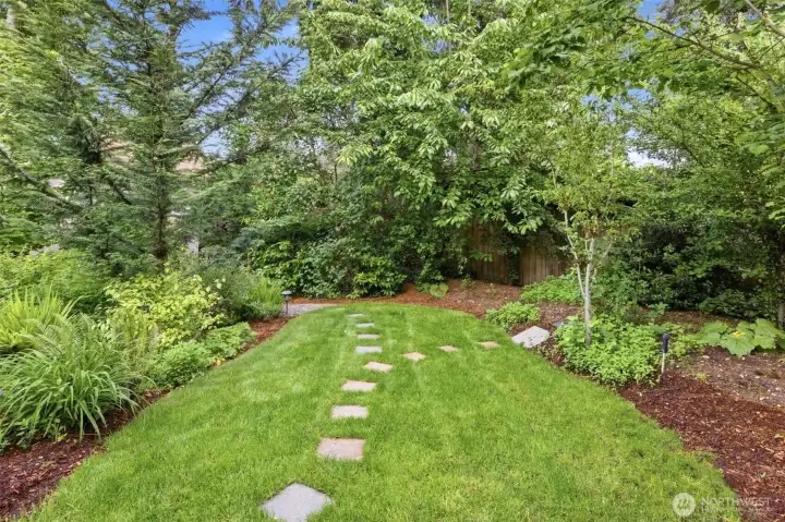 Back yard lawn