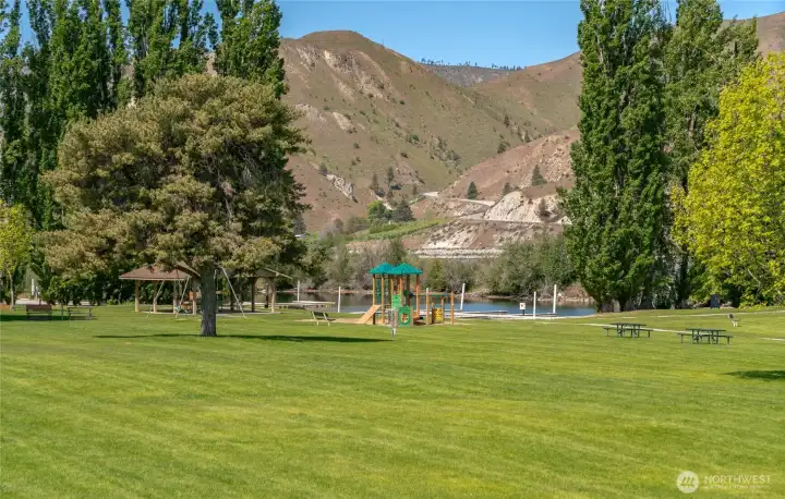 Community Area