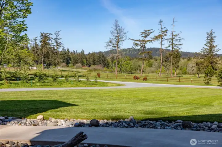 View from the front door.