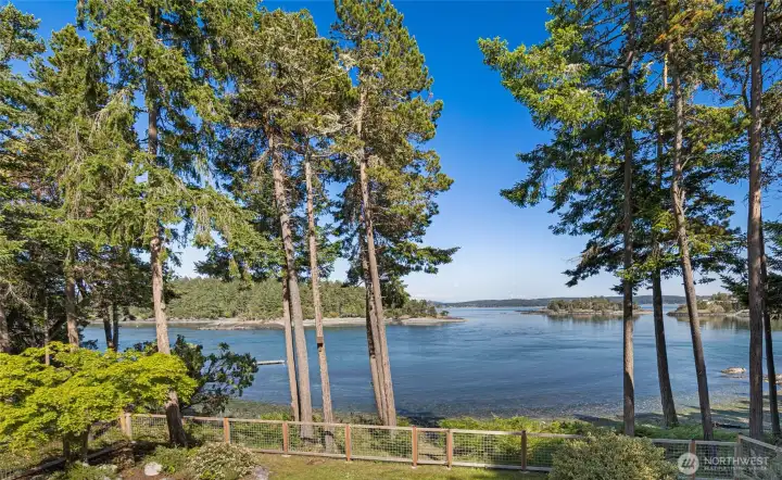 Protected cove views from the property showcase calm waters, mature trees, and a peaceful shoreline setting perfect for enjoying the natural rhythm of San Juan Island.
